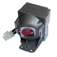 ACER MC.JFZ11.001 Lampa cu modul