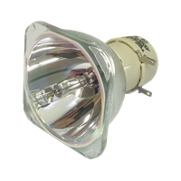 ACER P1502 Lampa fără modul