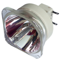 CANON LV-8320 Lampa fără modul