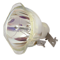 INFOCUS SP-LAMP-026 Lampa fără modul