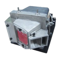 OPTOMA VDHDSS Lampa cu modul