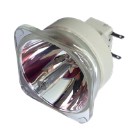 PHILIPS-UHP 280/245W 1.0 E56 Lampa fără modul