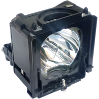 SAMSUNG HL-S6165WX/XAA Lampa cu modul