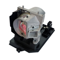 TRIUMPH BOARD PJ250-W Lampa cu modul