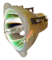 VIEWSONIC RLC-012 Lampa fără modul