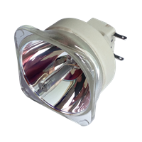 VIEWSONIC RLC-076 Lampa fără modul