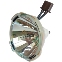 VIEWSONIC RLC-150-002 Lampa fără modul