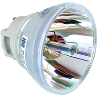 VIEWSONIC VS16907 Lampa fără modul
